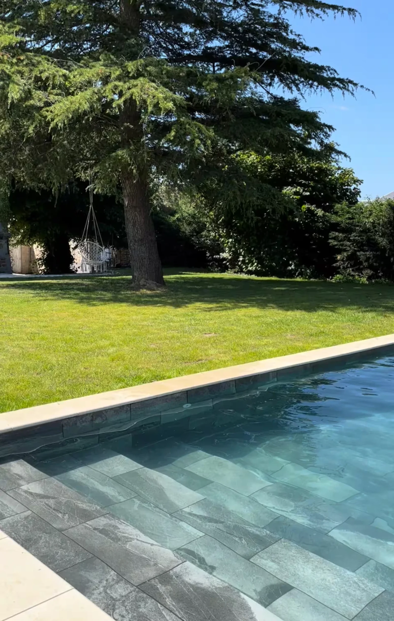 Le cèdre centenaire et la pelouse au bord de la piscine du Manoir Ducey